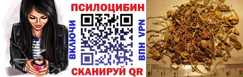 Галлюциногенные грибы Cubensis  Вятские Поляны 
