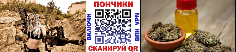 Бошки марихуана сатива  omg   Вятские Поляны 